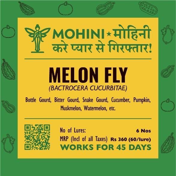 Mohini – Melon Fly | (Bactrocera cucurbitae) |  Pheromone Lure |