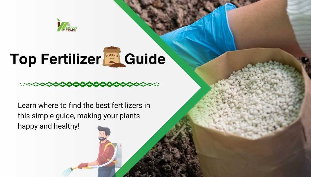 Boost Your Crops with Better, Safer Fertilizers in 2024