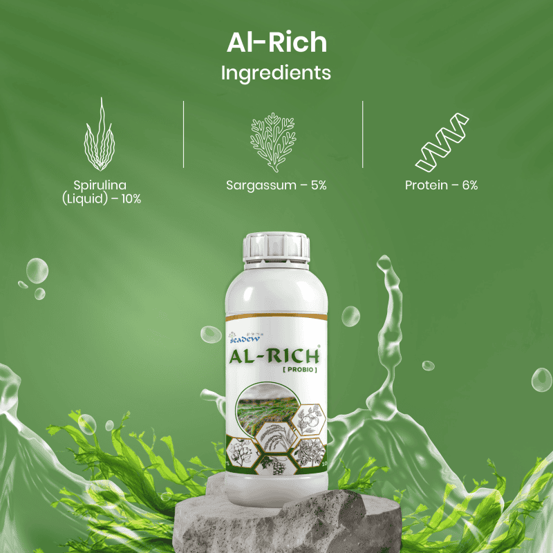 Al-Rich