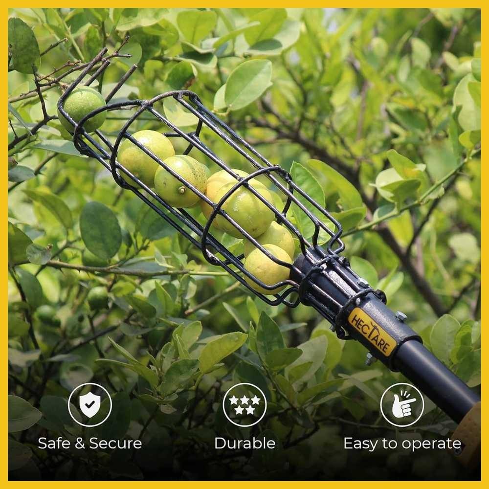 Lemon Picker | Lemon Harvester Tool for Lemon Plucking (Nimbu Thodne Ke Liye)