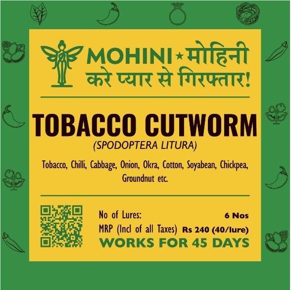 Mohini – Tobacco Cutworm | (Spodoptera litura) | Traps & Lures