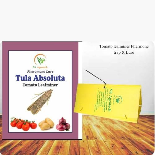 Tuta absoluta - Tomato leaf miner pheromone lure
