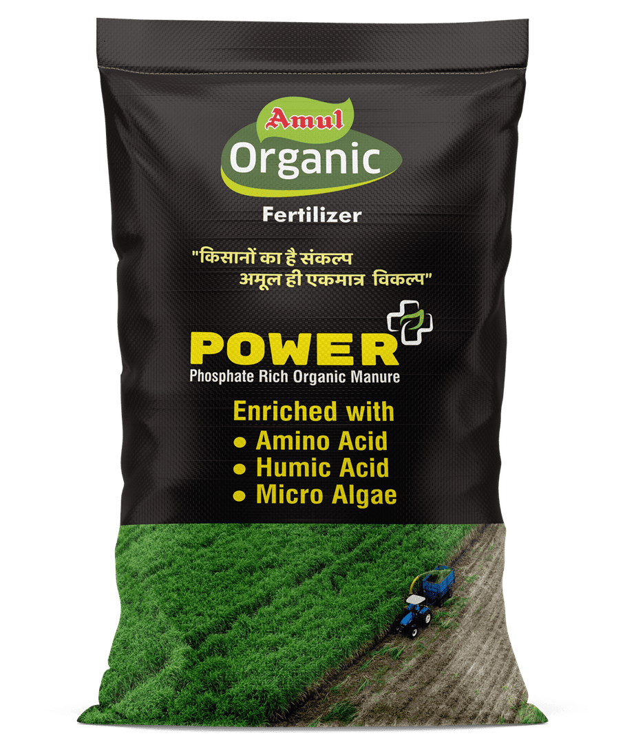 Amul Power Plus