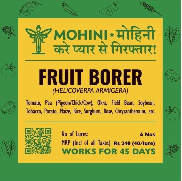 Mohini – Fruit borer | (Helicoverpa armigera) | Cotton Bollworm