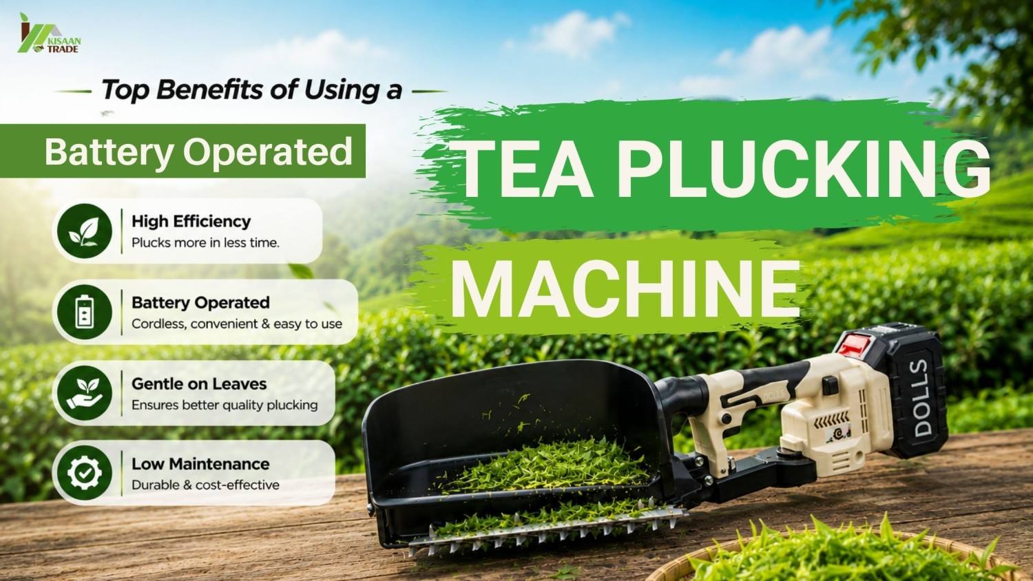 Top Benefits of Using a Battery Operated Tea Plucking Machine