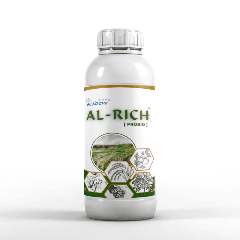 Al-Rich