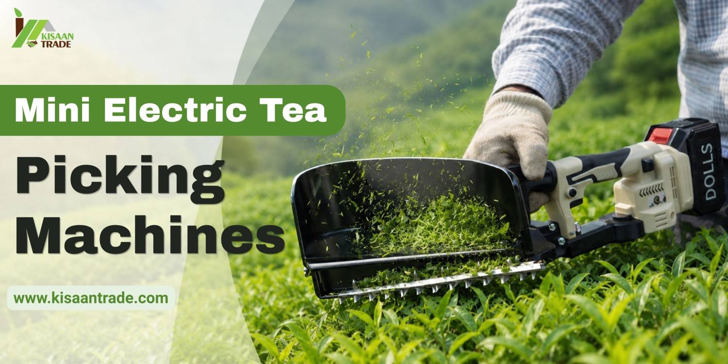 Why Are Tea Farmers Switching to Mini Electric Tea Picking Machines?