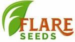 Master mind Seeds